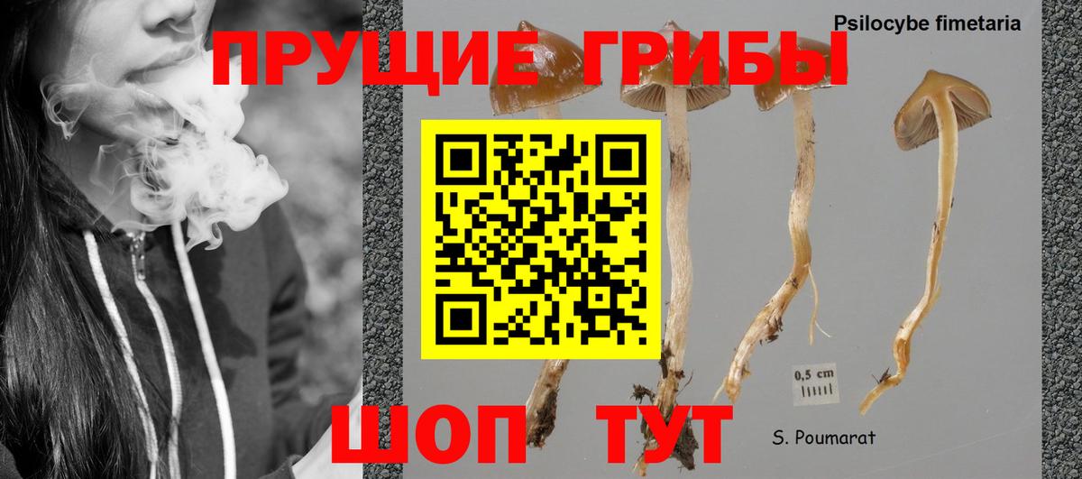 Галлюциногенные грибы Заречный