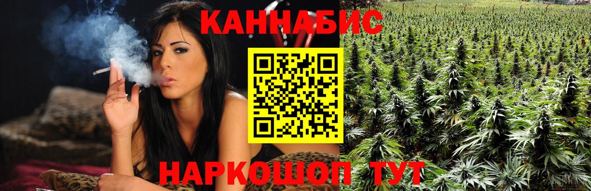 Бошки Шишки ГИДРОПОН  Вход с VPN  Каннабис тримм  Бошки Шишки планчик  Заречный 